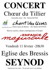 20110211-affiche