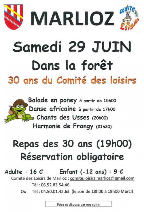 20130629-affiche